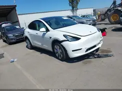 5YJYGDEE4MF173084 2021 TESLA MODEL Y