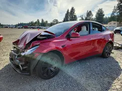 5YJYGDEE4MF174736 2021 TESLA MODEL Y