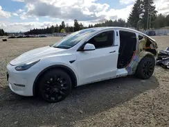 5YJYGDEE4MF182206 2021 TESLA MODEL Y