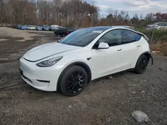 5YJYGDEE4MF184599 2021 TESLA MODEL Y