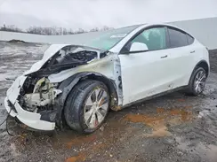 5YJYGDEE4MF190175 2021 TESLA MODEL Y
