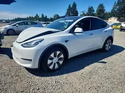 5YJYGDEE4MF204169 2021 TESLA MODEL Y