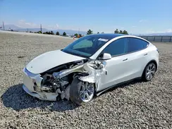 5YJYGDEE4MF207119 2021 TESLA MODEL Y