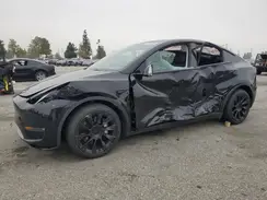 5YJYGDEE4MF216838 2021 TESLA MODEL Y