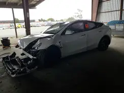 5YJYGDEE4MF217133 2021 TESLA MODEL Y
