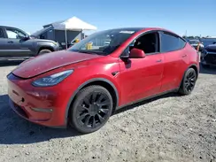 5YJYGDEE4MF217763 2021 TESLA MODEL Y