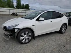 5YJYGDEE4MF239617 2021 TESLA MODEL Y
