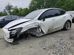 5YJYGDEE4MF243229 2021 TESLA MODEL Y
