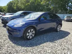 5YJYGDEE4MF256501 2021 TESLA MODEL Y