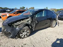 5YJYGDEE4MF293659 2021 TESLA MODEL Y