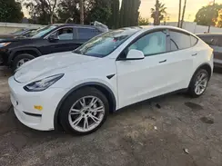 5YJYGDEE4MF301517 2021 TESLA MODEL Y
