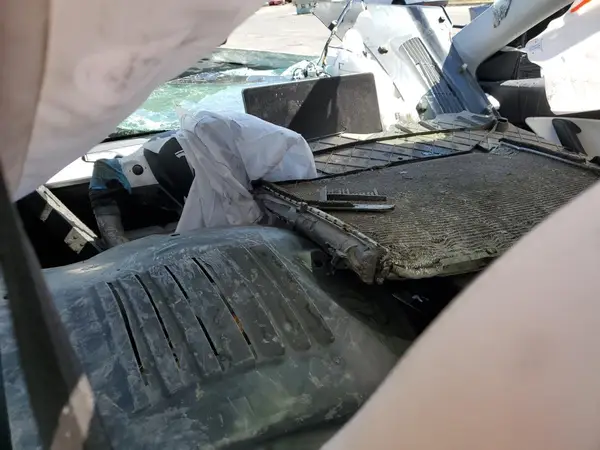 5YJYGDEE5LF055513 2020 TESLA MODEL Y - Image 8