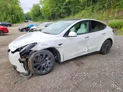 5YJYGDEE5MF085211 2021 TESLA MODEL Y