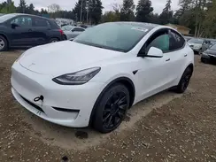 5YJYGDEE5MF097486 2021 TESLA MODEL Y