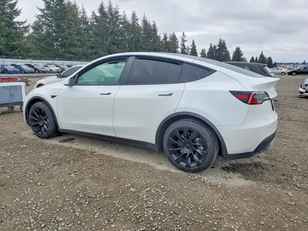 5YJYGDEE5MF097486 2021 TESLA MODEL Y - Image 2