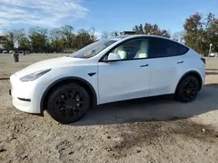 5YJYGDEE5MF119664 2021 TESLA MODEL Y