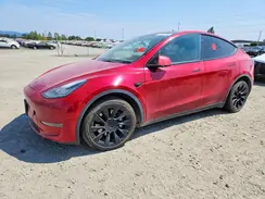 5YJYGDEE5MF157220 2021 TESLA MODEL Y
