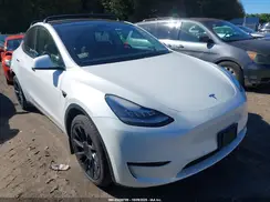5YJYGDEE5MF233096 2021 TESLA MODEL Y