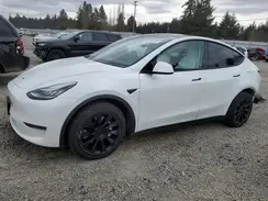 5YJYGDEE6LF017546 2020 TESLA MODEL Y