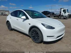 5YJYGDEE6LF059733 2020 TESLA MODEL Y
