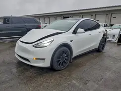 5YJYGDEE6MF062052 2021 TESLA MODEL Y