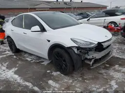 5YJYGDEE6MF078784 2021 TESLA MODEL Y
