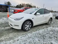 5YJYGDEE6MF079823 2021 TESLA MODEL Y