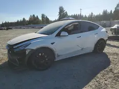 5YJYGDEE6MF140037 2021 TESLA MODEL Y