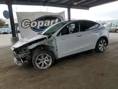 5YJYGDEE6MF142032 2021 TESLA MODEL Y