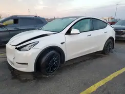 5YJYGDEE6MF190064 2021 TESLA MODEL Y