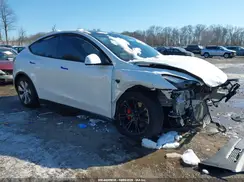 5YJYGDEE6MF193952 2021 TESLA MODEL Y