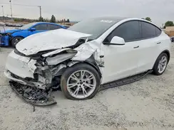 5YJYGDEE6MF195927 2021 TESLA MODEL Y