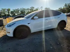 5YJYGDEE6MF198648 2021 TESLA MODEL Y