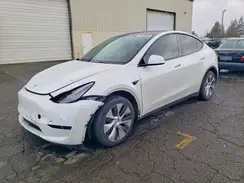 5YJYGDEE6MF215156 2021 TESLA MODEL Y