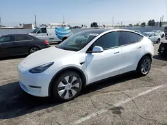 5YJYGDEE6MF215237 2021 TESLA MODEL Y