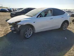 5YJYGDEE6MF228926 2021 TESLA MODEL Y