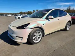 5YJYGDEE6MF229459 2021 TESLA MODEL Y