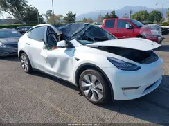 5YJYGDEE6MF229946 2021 TESLA MODEL Y