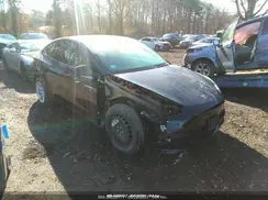 5YJYGDEE6MF233186 2021 TESLA MODEL Y