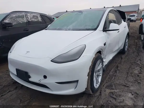 5YJYGDEE7LF026000 2020 TESLA MODEL Y - Image 2