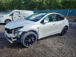 5YJYGDEE7MF062055 2021 TESLA MODEL Y