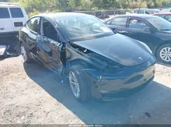 5YJYGDEE7MF067261 2021 TESLA MODEL Y