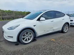 5YJYGDEE7MF078776 2021 TESLA MODEL Y