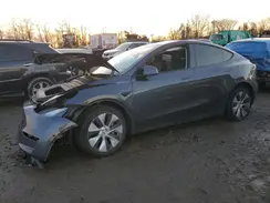 5YJYGDEE7MF087381 2021 TESLA MODEL Y
