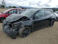5YJYGDEE7MF093942 2021 TESLA MODEL Y