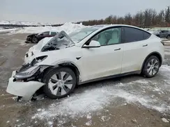 5YJYGDEE7MF134666 2021 TESLA MODEL Y