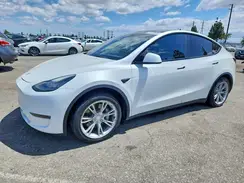 5YJYGDEE7MF194334 2021 TESLA MODEL Y