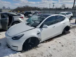 5YJYGDEE7MF230054 2021 TESLA MODEL Y