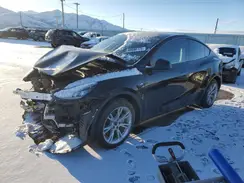 5YJYGDEE7MF297219 2021 TESLA MODEL Y
