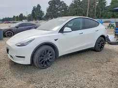 5YJYGDEE8LF020237 2020 TESLA MODEL Y
